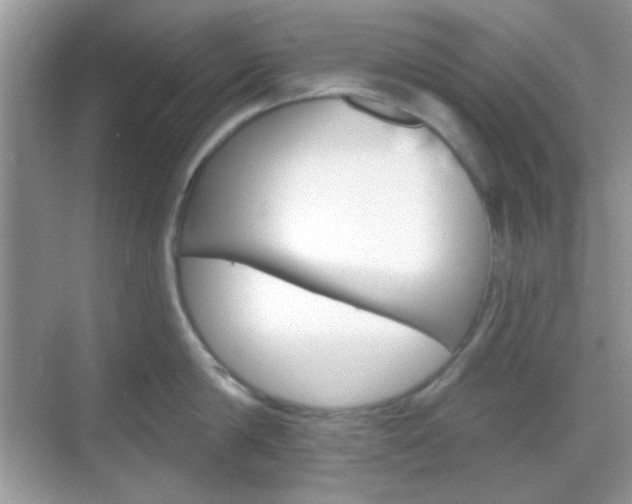 X0000069360814200605120915