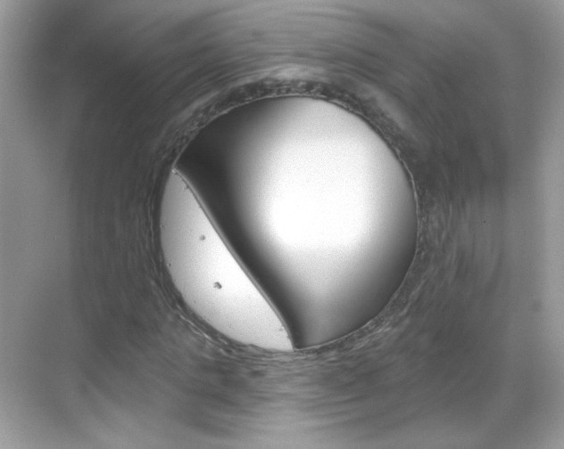 X0000069360821200605120914