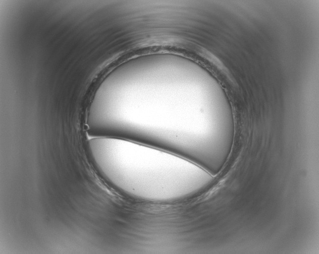 X0000069360826200605120914
