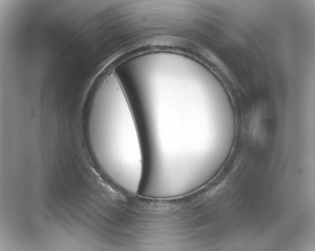 X0000069360829200605120914