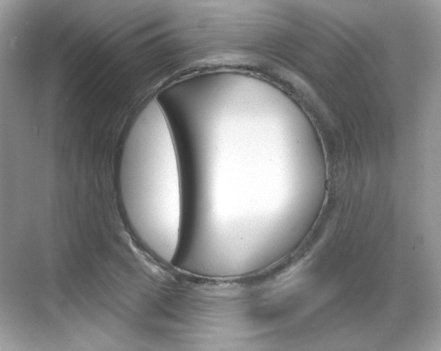 X0000069360833200605120914
