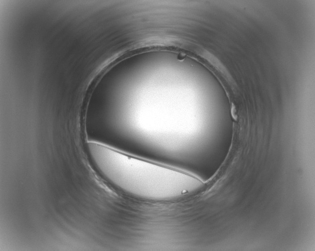 X0000069360834200605120914