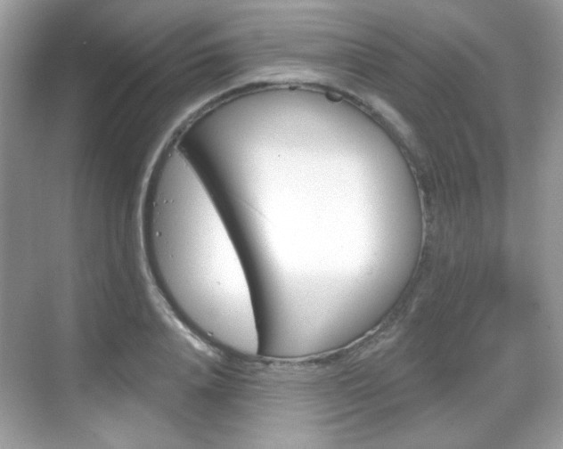 X0000069360840200605120914
