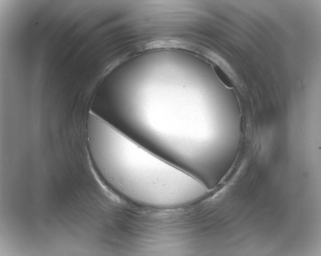 X0000069360849200605120914