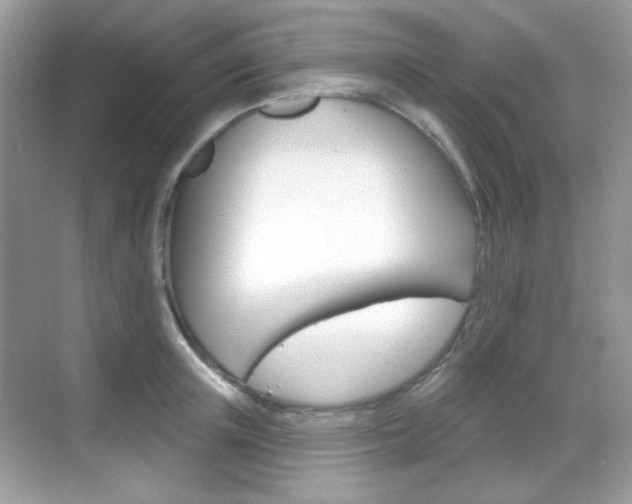 X0000069360851200605120914