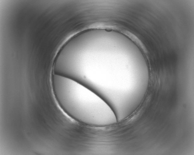 X0000069360855200605120914