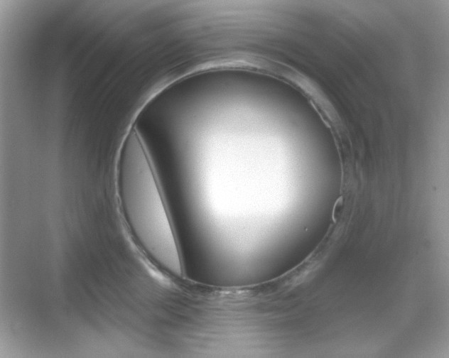 X0000069360858200605120914