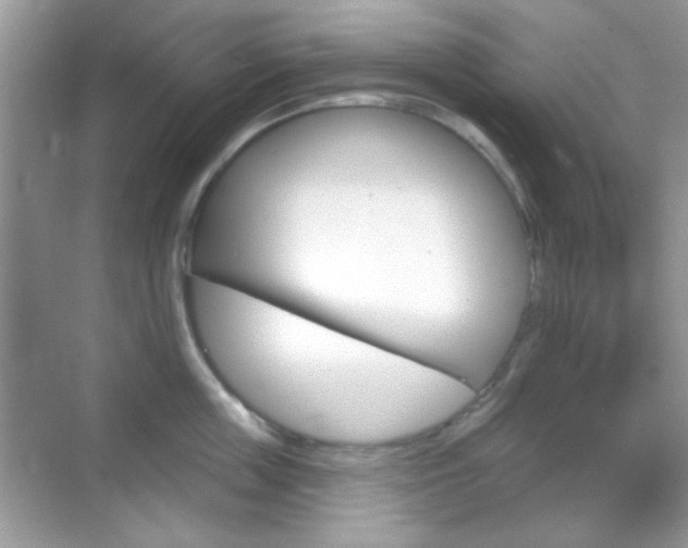 X0000069360859200605120914