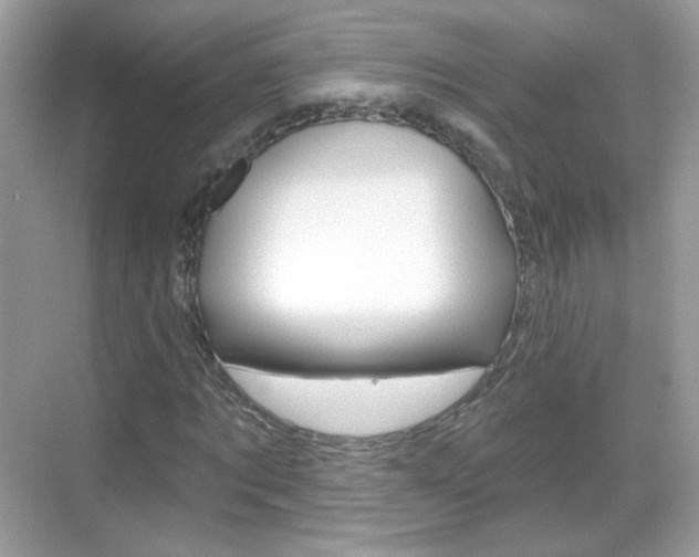 X0000069360869200605120914