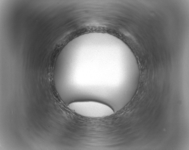 X0000069360870200605120914