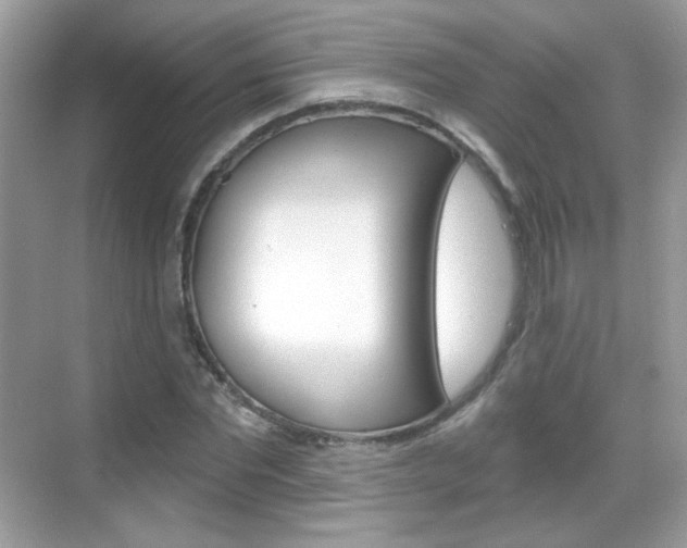 X0000069360877200605120914