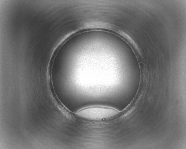 X0000069360885200605120913