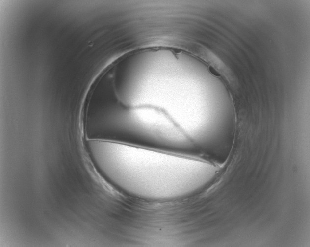 X0000069360892200605120913