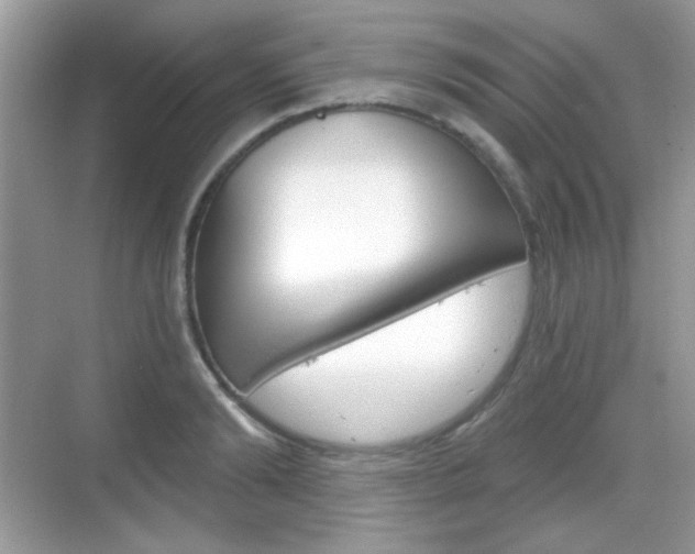 X0000069360894200605120913