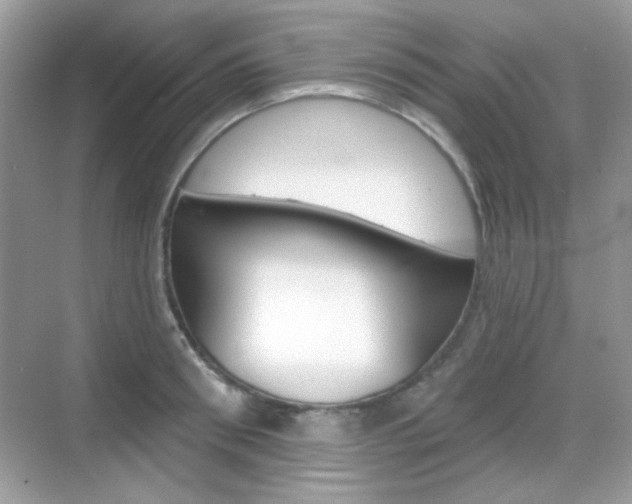 X0000069360898200605120913