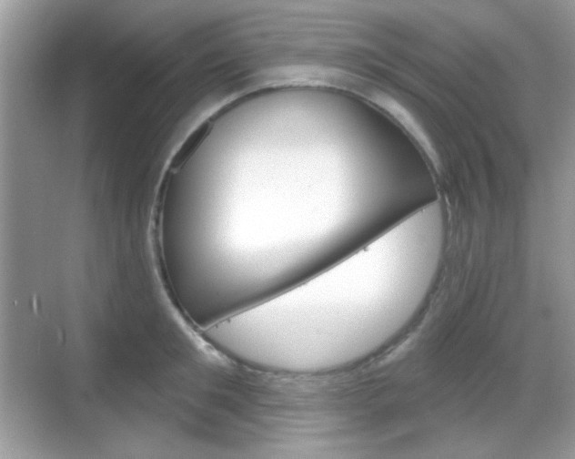 X0000069360901200605120913