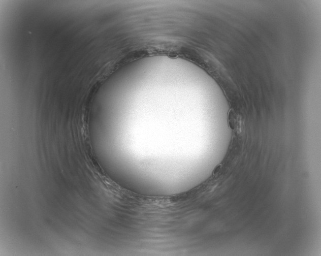 X0000069360915200605120912