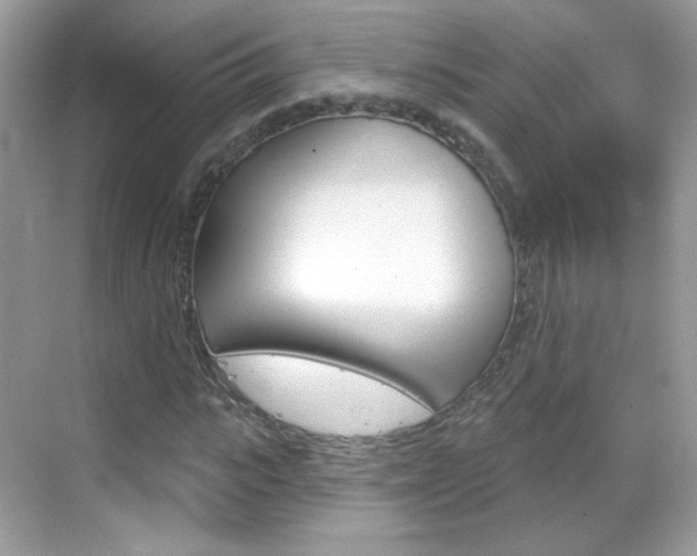 X0000069360919200605120912