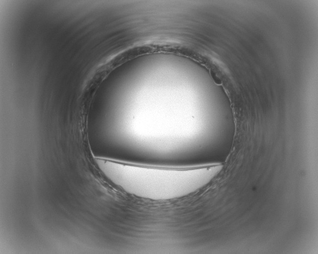 X0000069360920200605120912