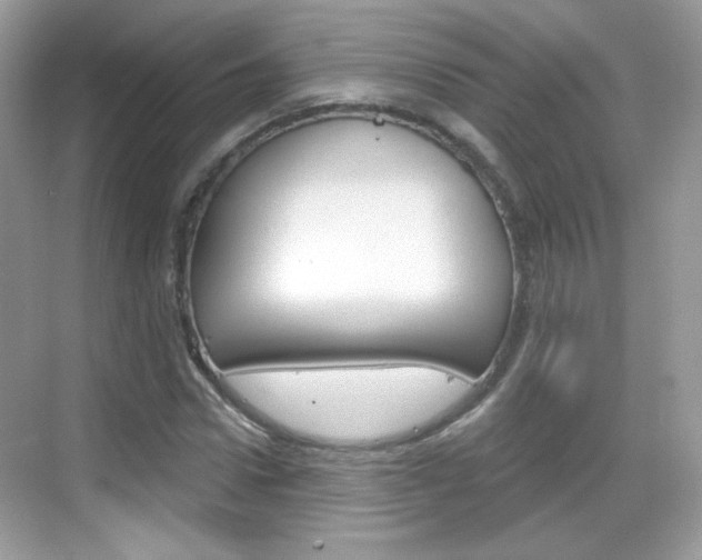 X0000069360922200605120912