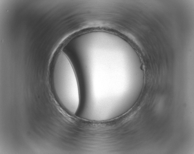X0000069360927200605120912
