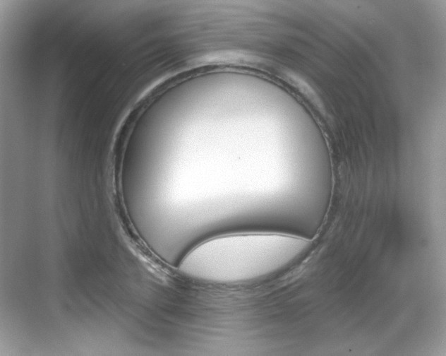 X0000069360931200605120912