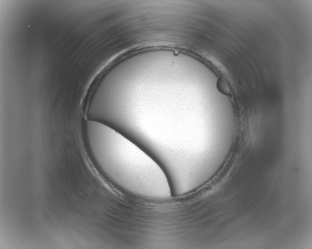 X0000069360933200605120912