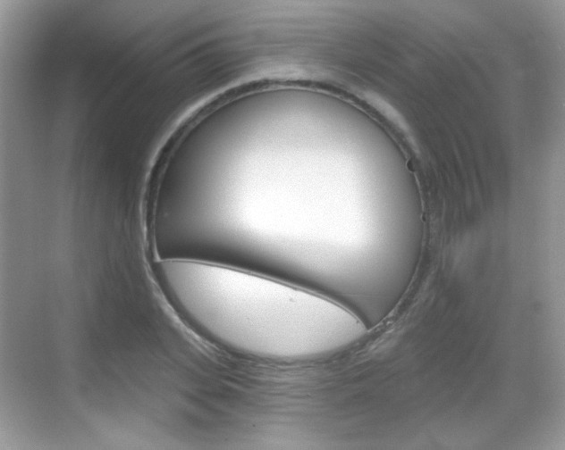 X0000069360935200605120912