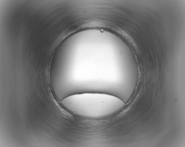 X0000069360937200605120913