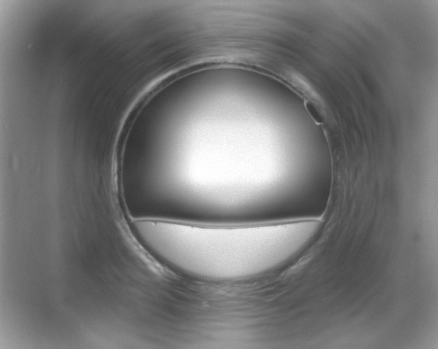 X0000069360940200605120913