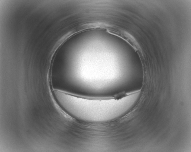 X0000069360946200605120913