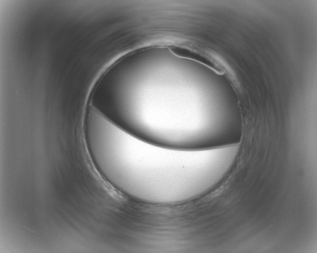 X0000069360948200605120913