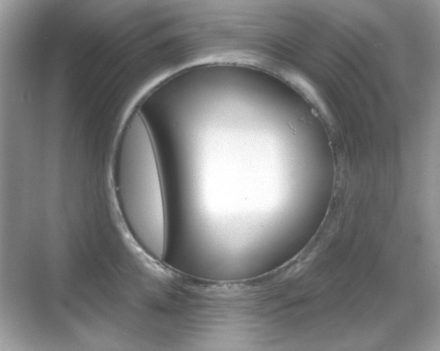 X0000069360952200605120913