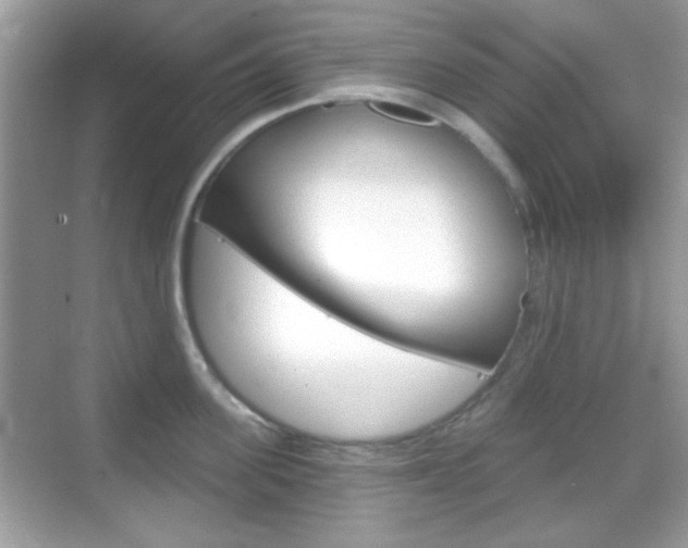 X0000069360955200605120913