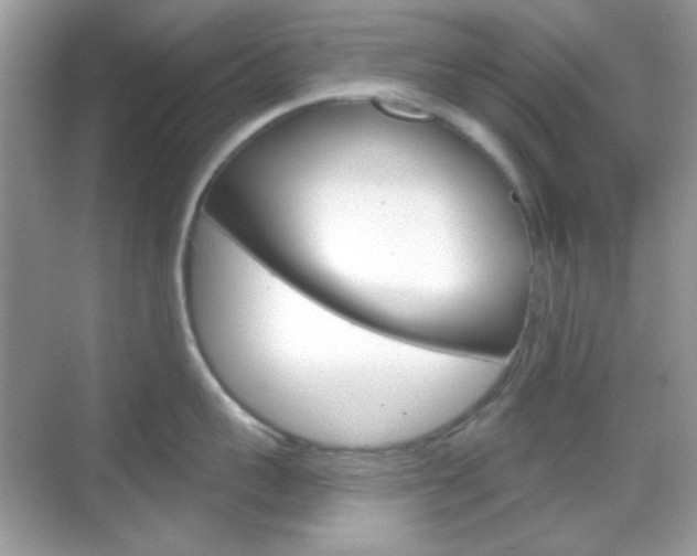 X0000069360959200605120913