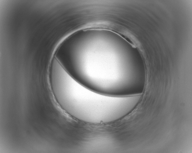 X0000069360960200605120913