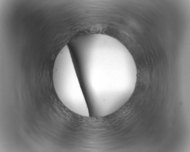 X0000069360962200605120912