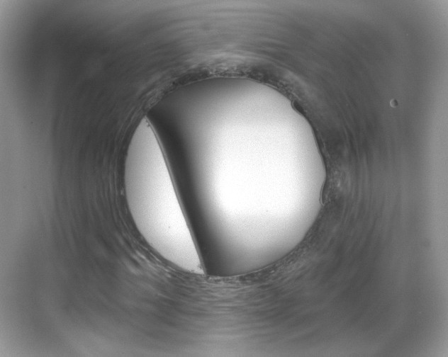 X0000069360964200605120912