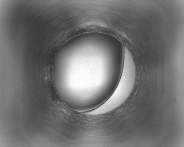 X0000069360965200605120912