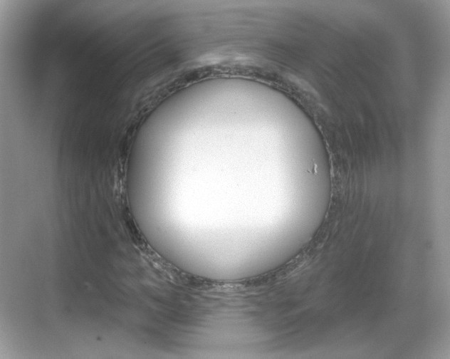 X0000069360966200605120912