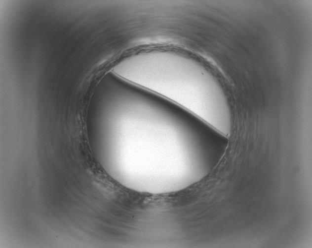 X0000069360967200605120912