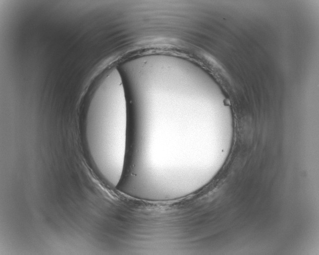 X0000069360970200605120912