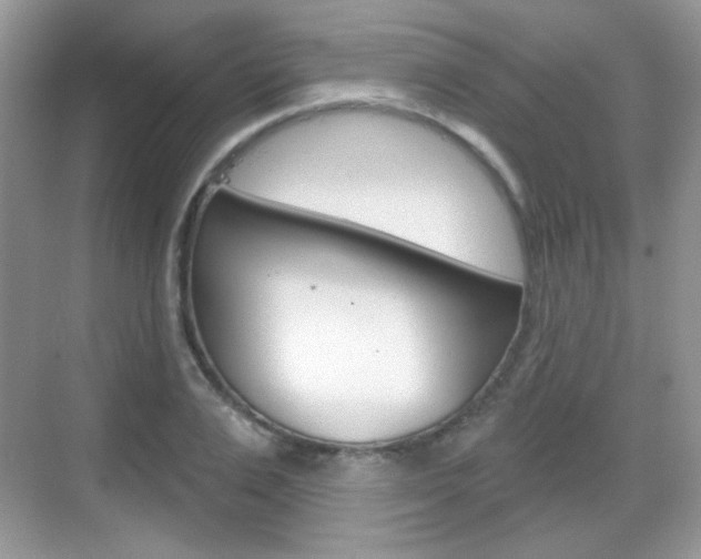 X0000069360983200605120912