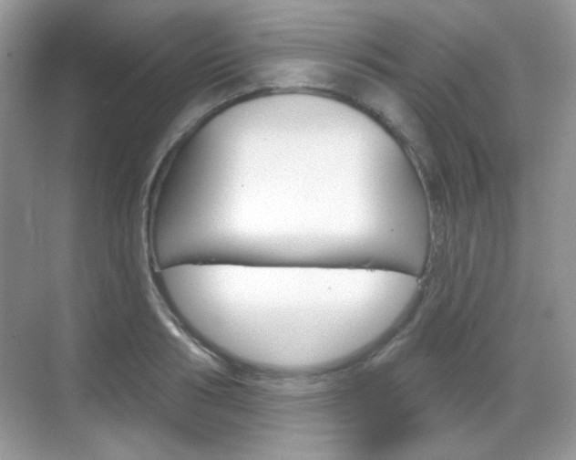 X0000069360986200605120912