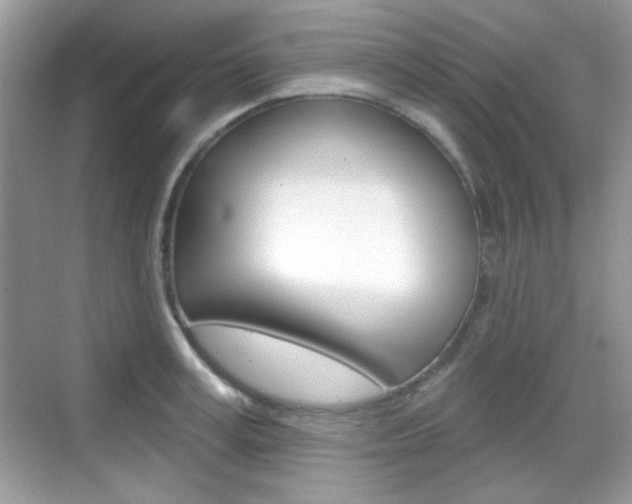 X0000069360995200605120912