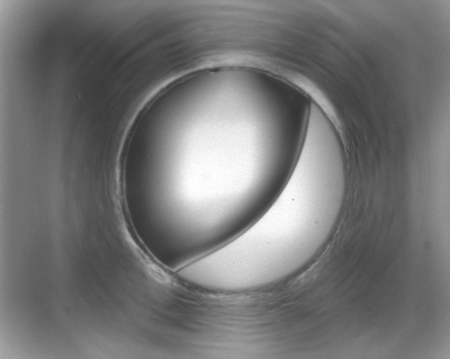 X0000069360996200605120912