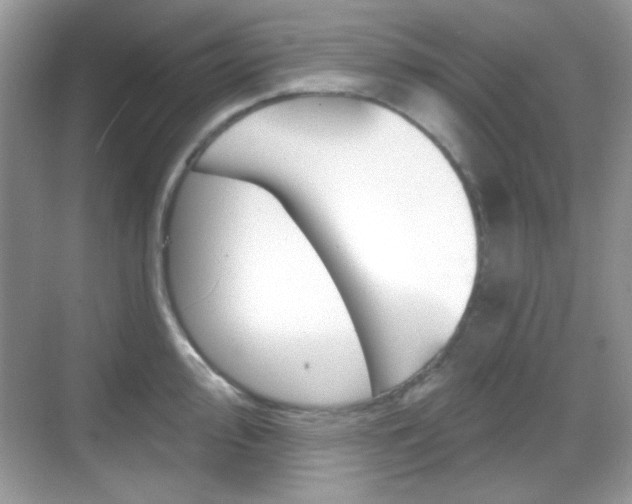 X0000069361000200605120911