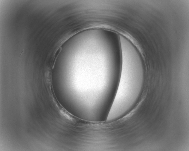 X0000069361001200605120911