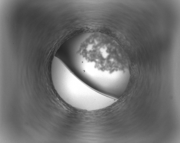 X0000069361009200605120911