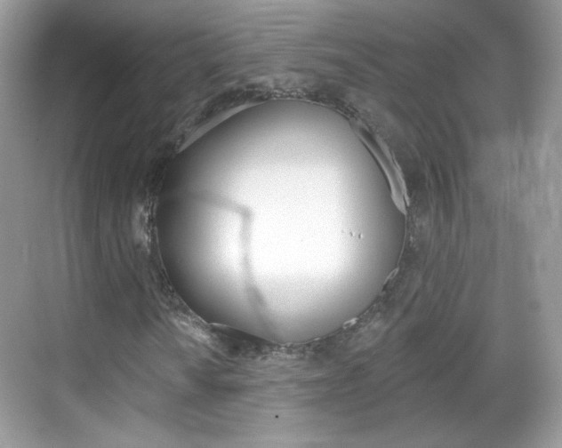 X0000069361010200605120911